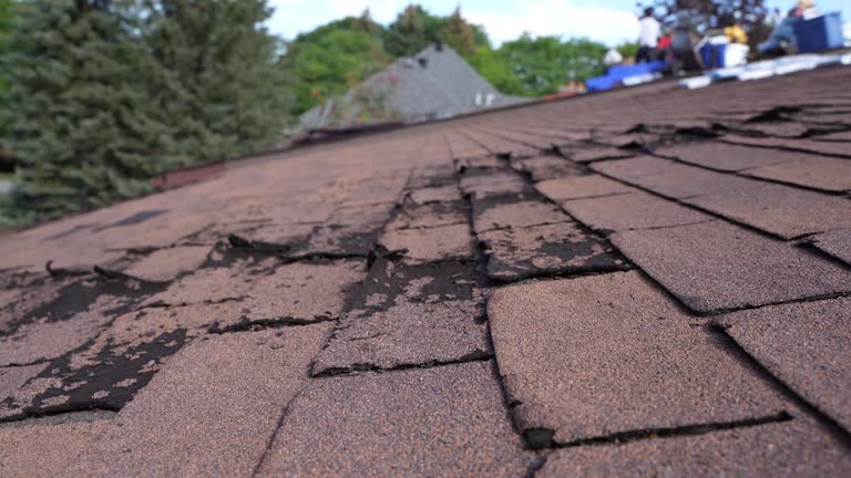 Best Roof Ventilation Installation  in Mono Vista, CA