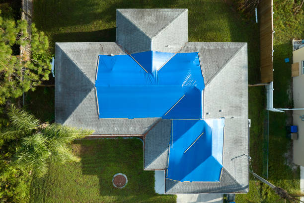 Best Asphalt Shingle Roofing  in Mono Vista, CA