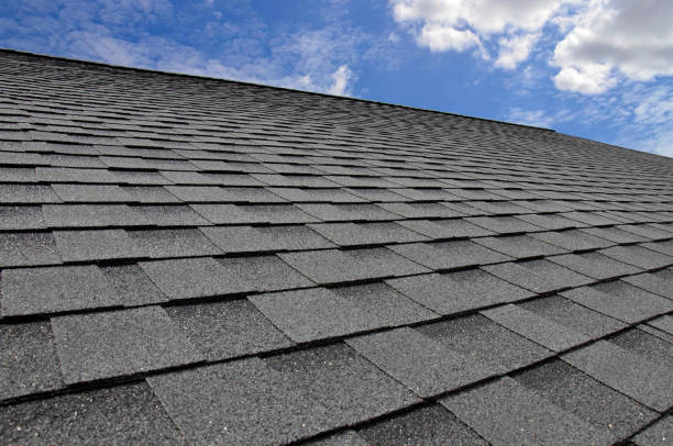 Best Skylight Installation and Repair  in Mono Vista, CA