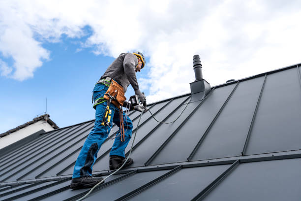 Best Roof Installation  in Mono Vista, CA